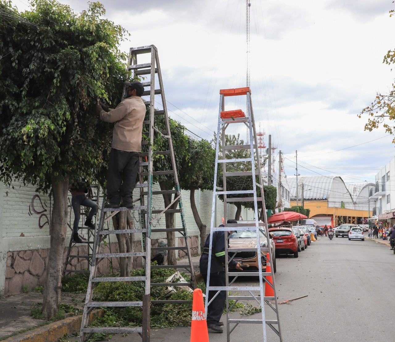 1669842485 248 Continuamos con el cuidado y embellecimiento de nuestras calles y