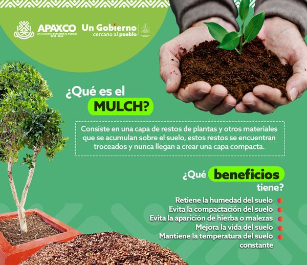 CONOCE EL MULCH Y LOS BENEFICIOS QUE TIENE PARA LOS