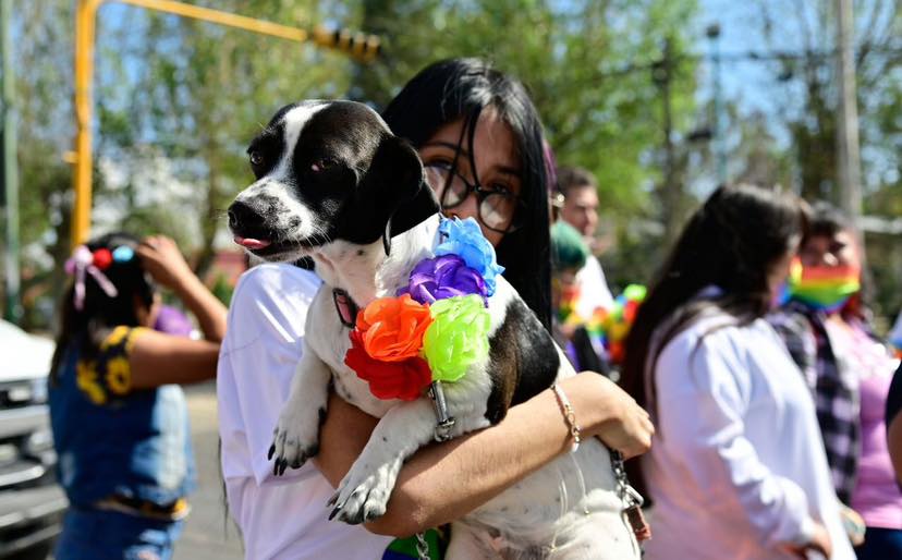 Celebramos la 1eraMarchaPorLaDiversidad para festejar los derechos de la Comuni