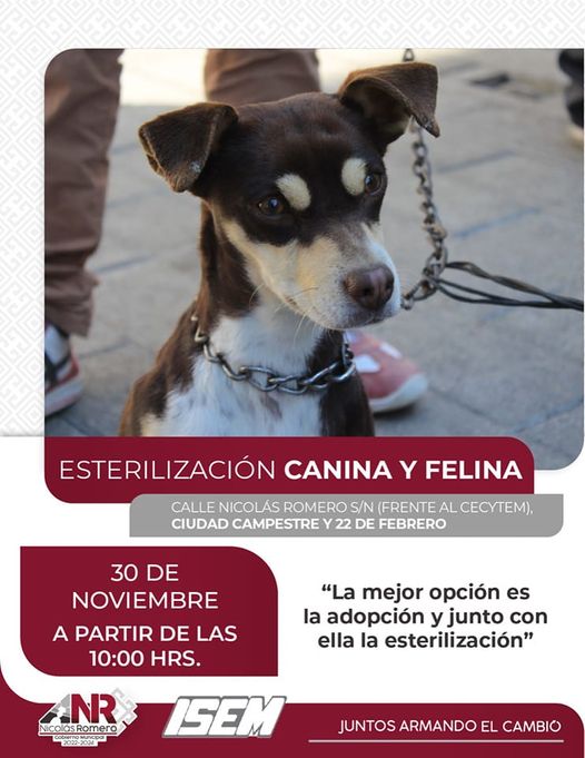 El dia de manana tendremos una jornada de esterilizacion 𝗚𝗥𝗔𝗧𝗨𝗜𝗧𝗔