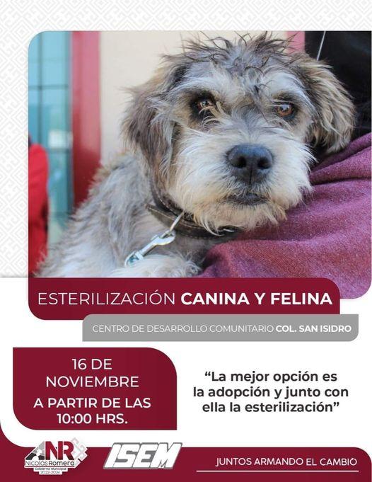 Hoy tendremos Jornada de Esterilizacion 𝗚𝗥𝗔𝗧𝗨𝗜𝗧𝗔 para mascotas