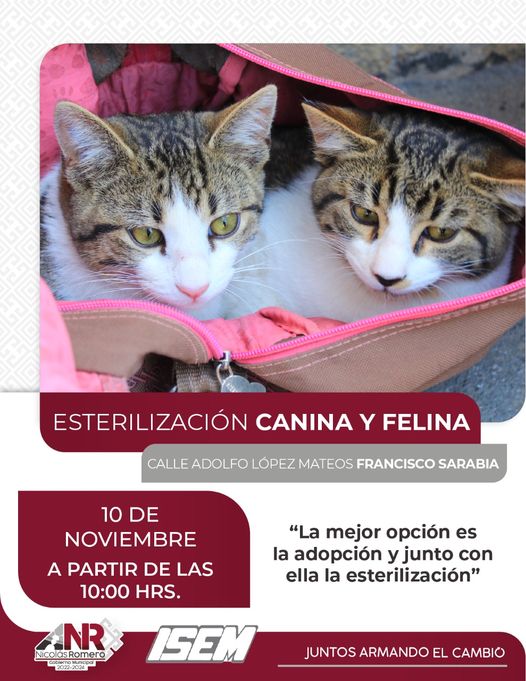 Te esperamos en nuestra Jornada de Esterilizacion de mascotas 𝗚𝗥𝗔𝗧𝗨𝗜𝗧𝗔