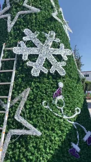 ¡Ya estamos preparando el arbol navideno para nuestro pueblo