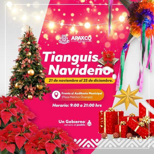 ¿YA TIENES TODOS LISTO PARA NAVIDAD VISITA EL TIANGUIS NAVIDENO