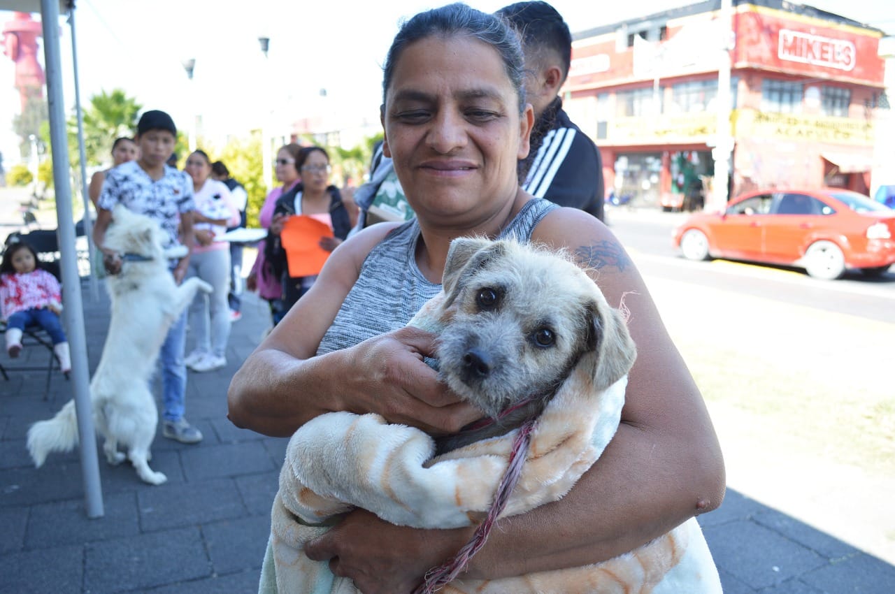 1670536128 170 GOBIERNO DE CHIMALHUACAN ESTERILIZA 200 CANINOS Y FELINOS EN BARRIO