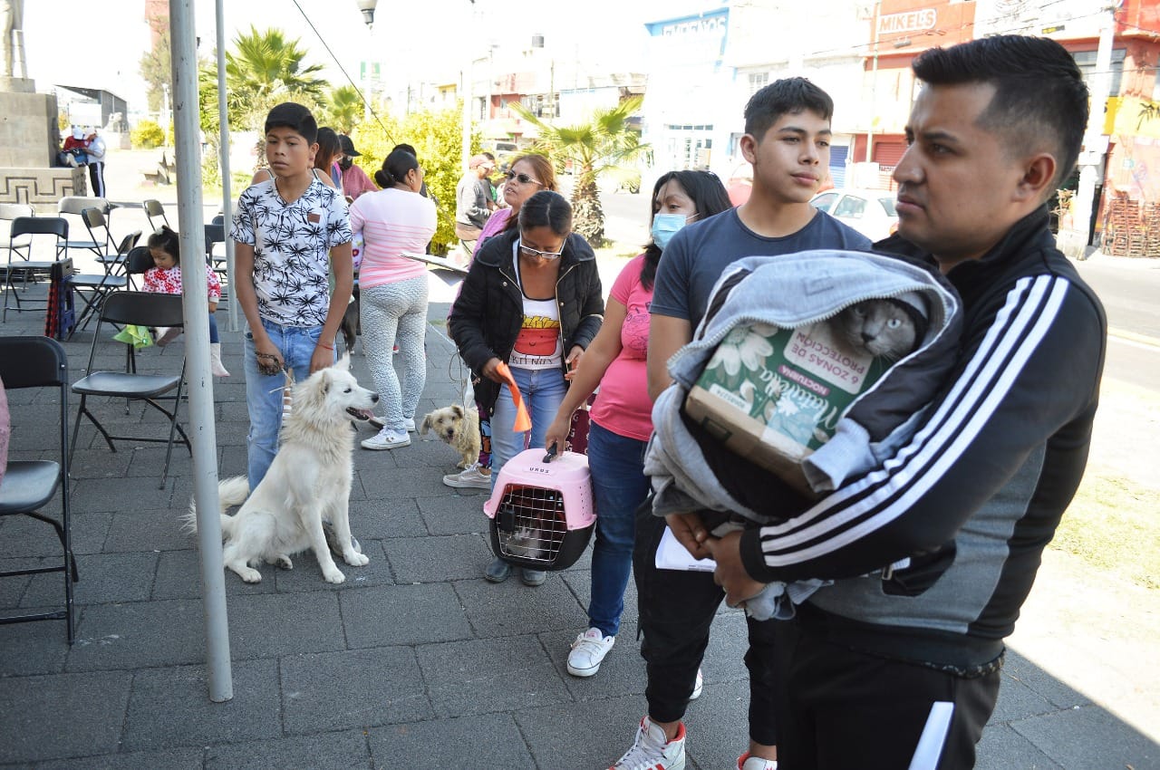 1670536128 660 GOBIERNO DE CHIMALHUACAN ESTERILIZA 200 CANINOS Y FELINOS EN BARRIO