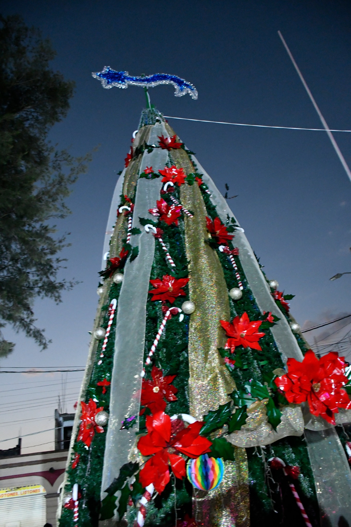 1671044458 991 ¡Vibran los colores de Otzolotepec en esta temporada decembrina ¿Ya