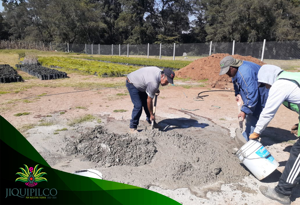 1671055541 251 Dando seguimiento a la creacion del Vivero Municipal se da