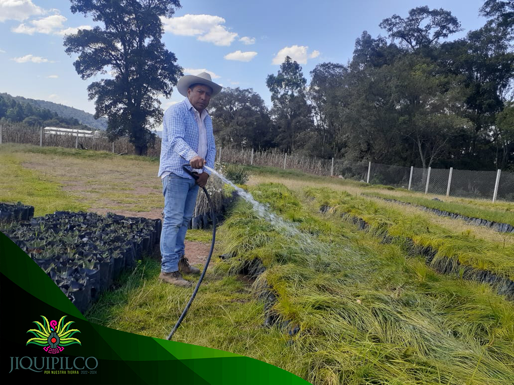 1671055542 127 Dando seguimiento a la creacion del Vivero Municipal se da