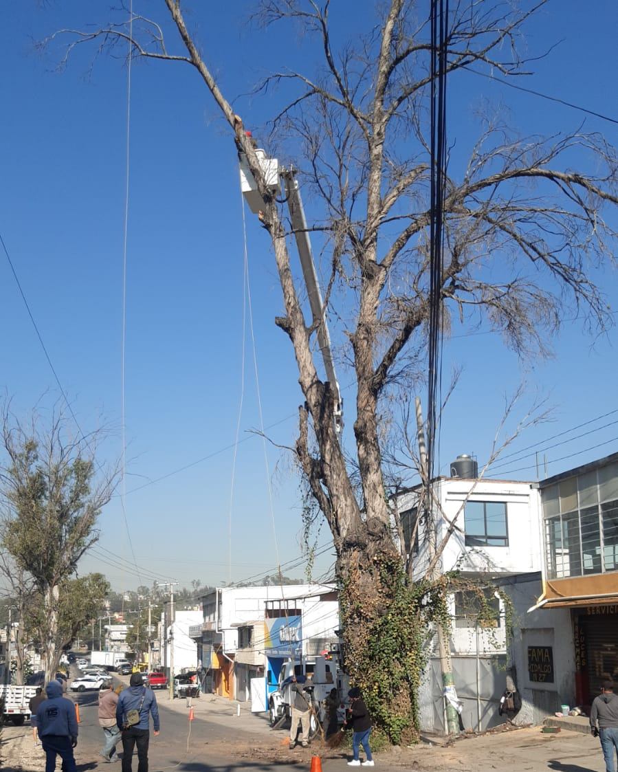 1671298417 410 Al presentar un riesgo para los transeuntes y vecinos de