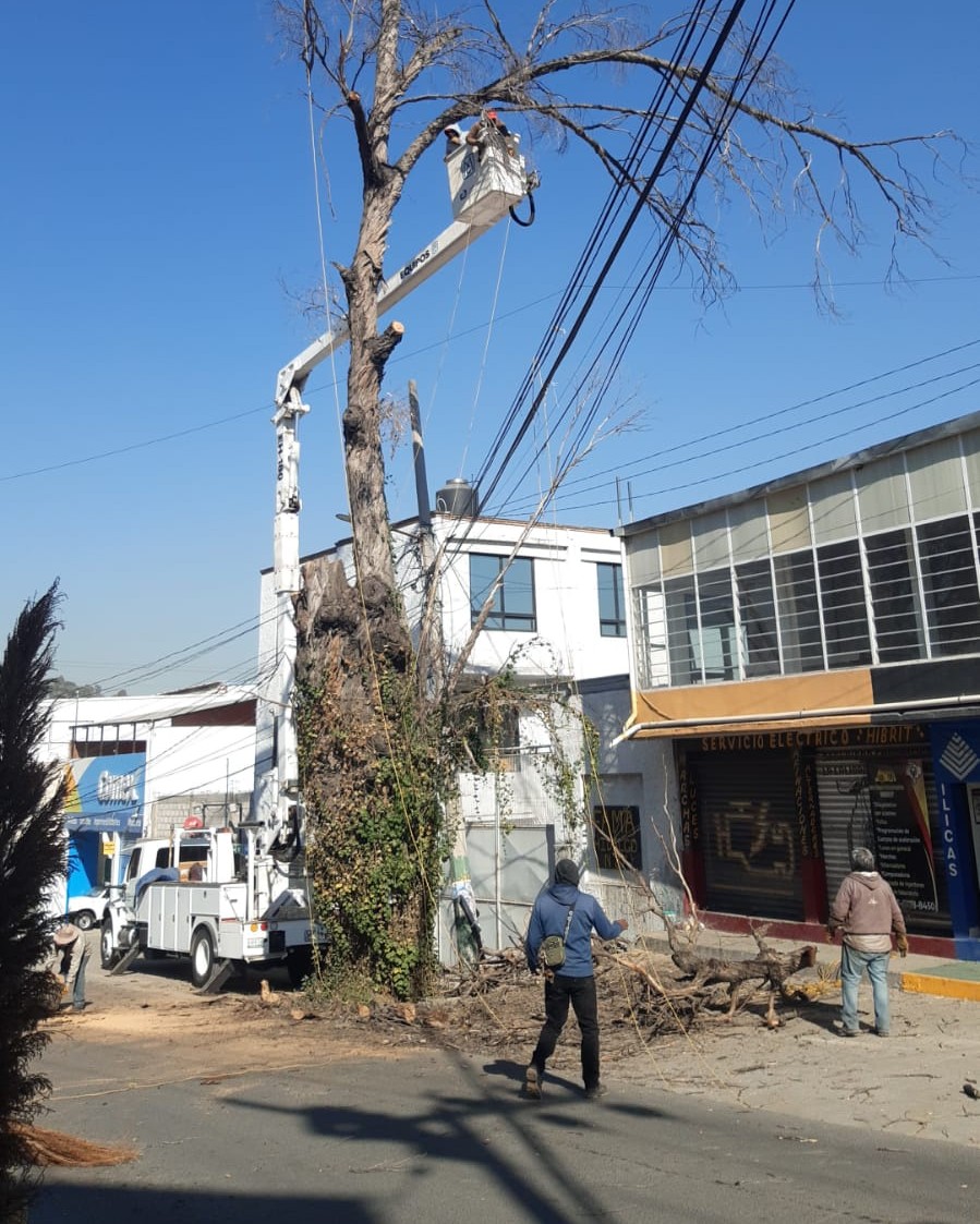 1671298417 431 Al presentar un riesgo para los transeuntes y vecinos de