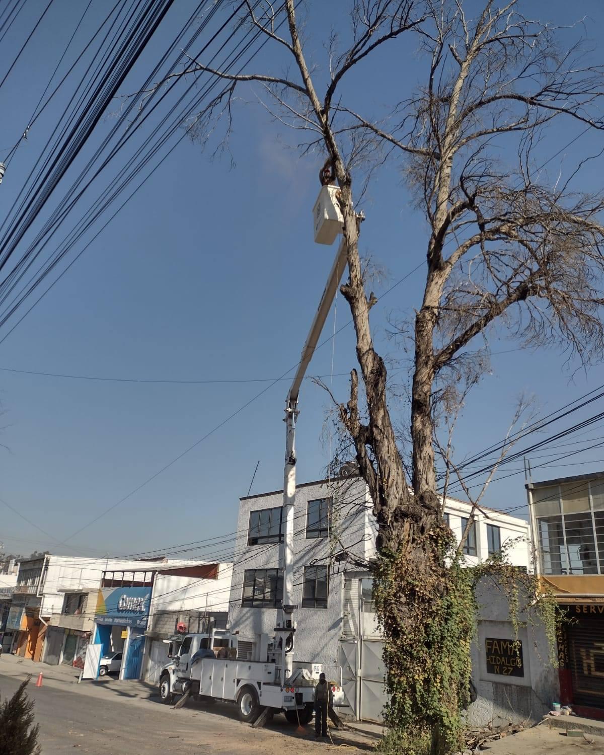 1671298429 Al presentar un riesgo para los transeuntes y vecinos de