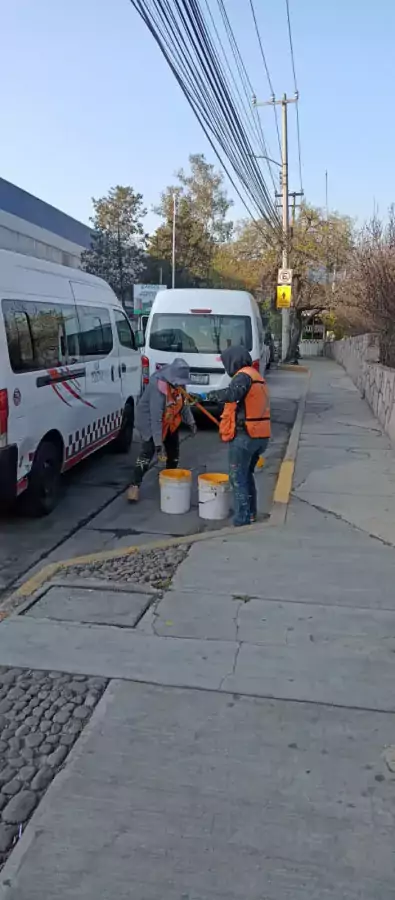 1671305675 Dia con dia trabajamos para embellecer los entornos urbanos en jpg