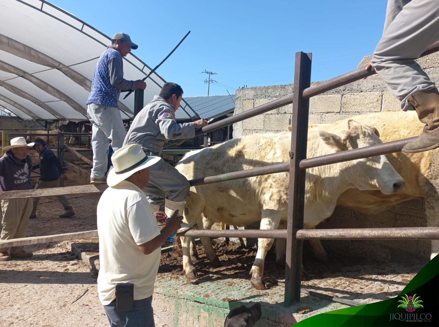 1671318233 714 Personal de la Direccion de DesarrolloAgropecuario y la JefaturaAcuicola con