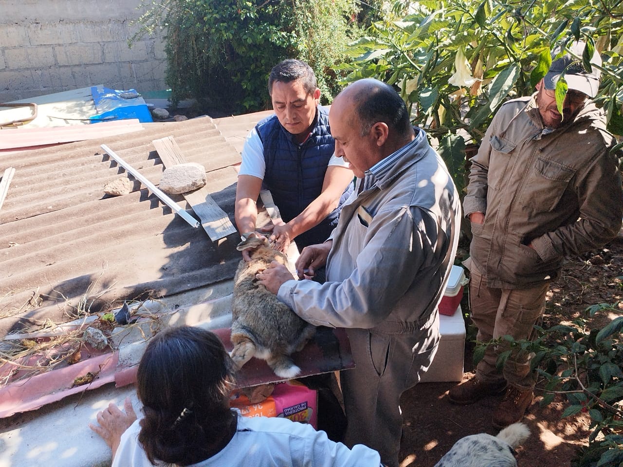 1671492964 648 La Quinta Regiduria en conjunto con la Direccion de Ecologia