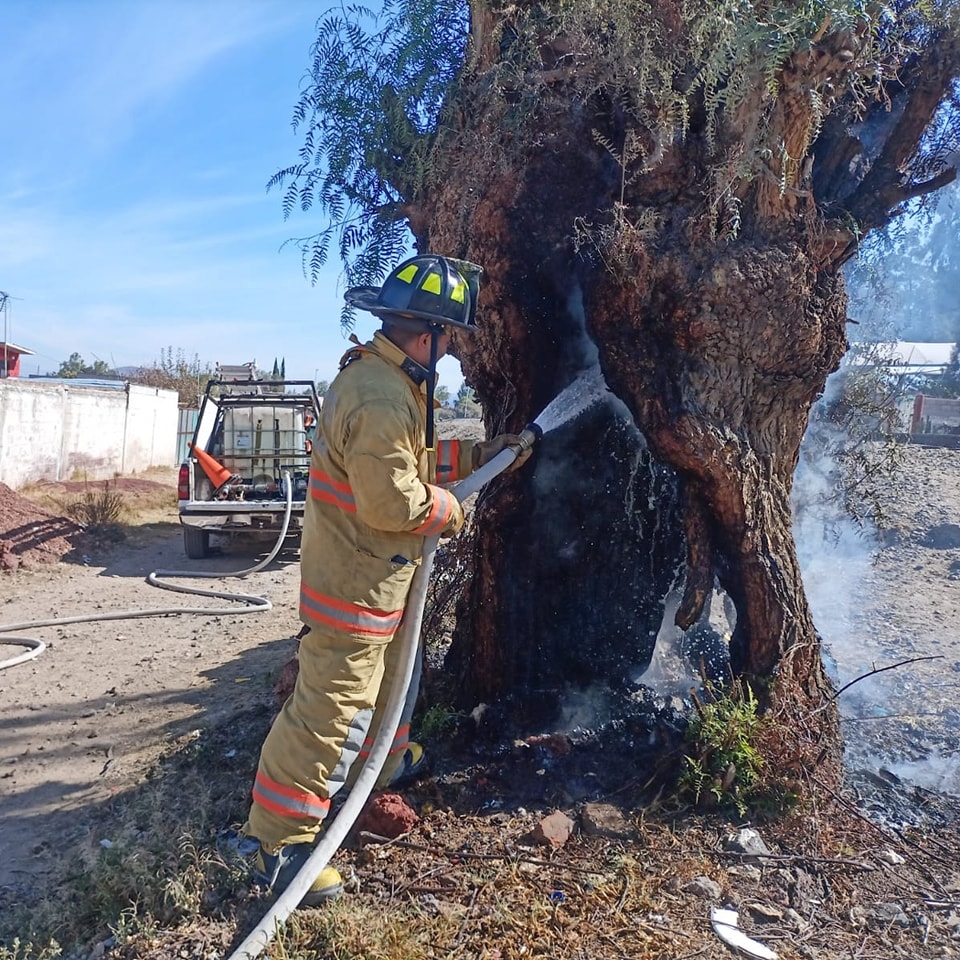 1671810514 393 Personal de la Direccion de Ecologia en coordinacion con Bomberos