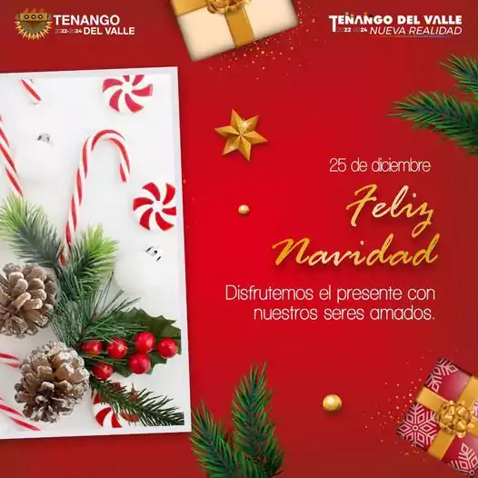 1671969846 Esperamos que la magia de la Navidad llene de alegria jpg