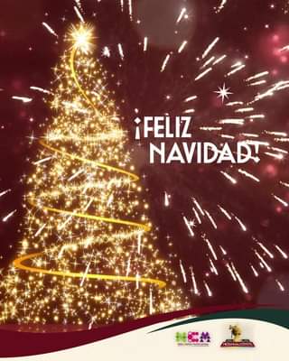 1671985970 Que la magia de la navidad inunde todos los rincones