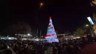 ArbolNavideno Coyotepe ¿Te perdiste del encendido del arbol navideno jpg