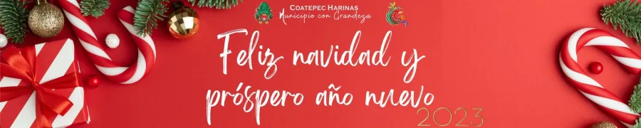 Coatepec Harinas scaled