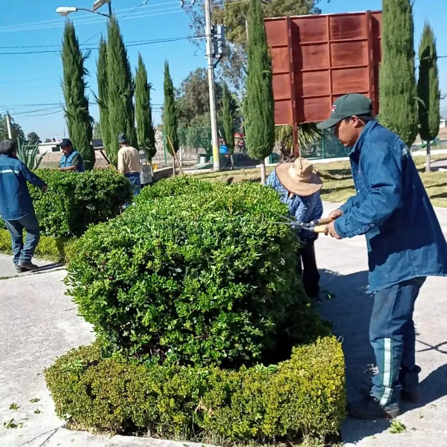 Continuan los trabajos de faena a cargo del personal de jpg