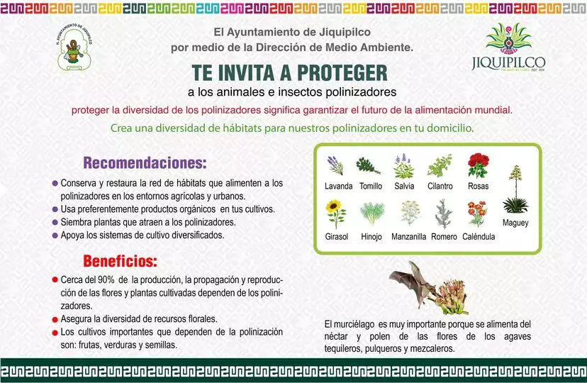 El Ayuntamiento de Jiquipilco por medio de la Direccion de jpg