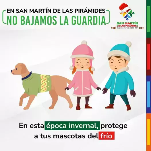 En esta temporada invernal protege a tus mascotas del jpg