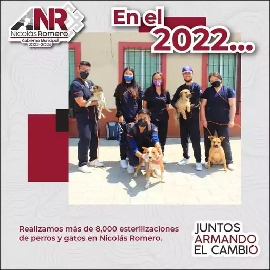 Este ano 2022 mas de 8000 mascotas fueron esterilizadas Nos jpg