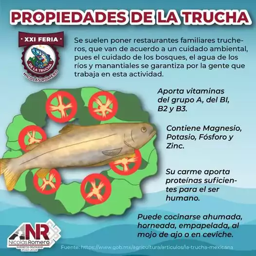 La trucha contiene multiples nutrientes y beneficios ademas es deliciosa jpg