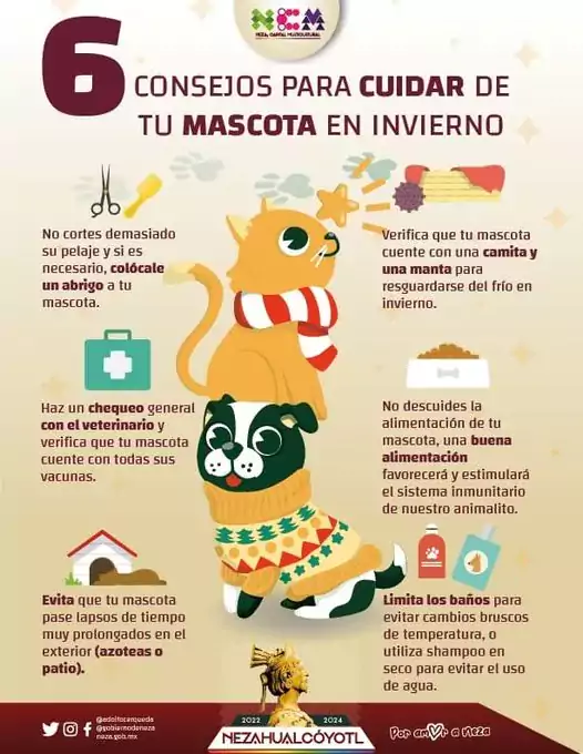 Mascotas ¡Proteje a tu mascota del frio Te compartimos jpg