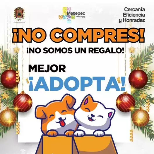 Quieres tener una mascota No compres ¡ADOPTA Visita el Centro jpg