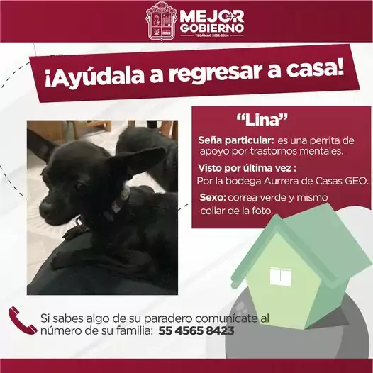 Solicitamos el apoyo de la comunidad Tecamaquense para dar con jpg