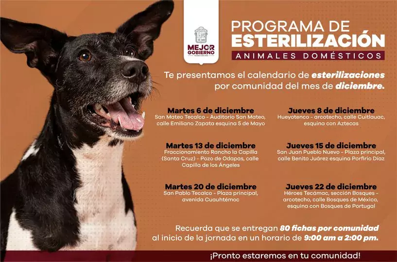 Te dejamos nuestro calendario de esterilizaciones del mes de diciembre jpg