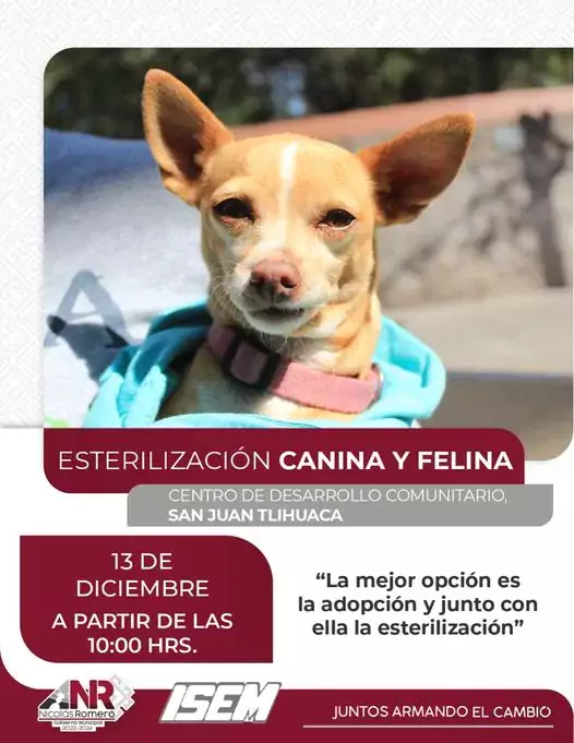 Trae a tu mascota a nuestra Jornada de Esterilizacion GRATUITA jpg