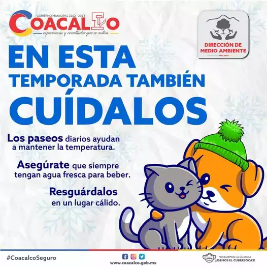 Ya comenzo el frio y nuestros gatitos y perritos necesitan jpg