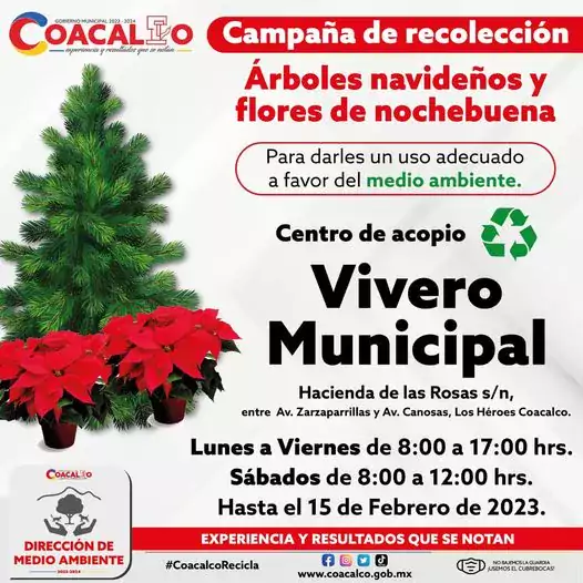 Lleva tu arbolito de navidad y flores de nochebuena al vivero municipal!  Súmate - Estado de México