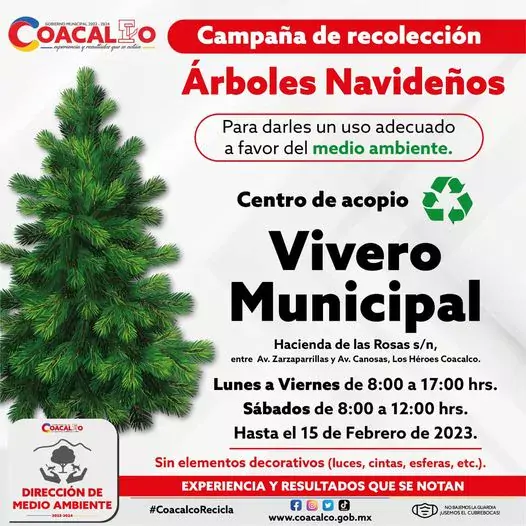 Únete a la campaña de recolección de árboles navideños! A partir del 6 de  enero - Estado de México