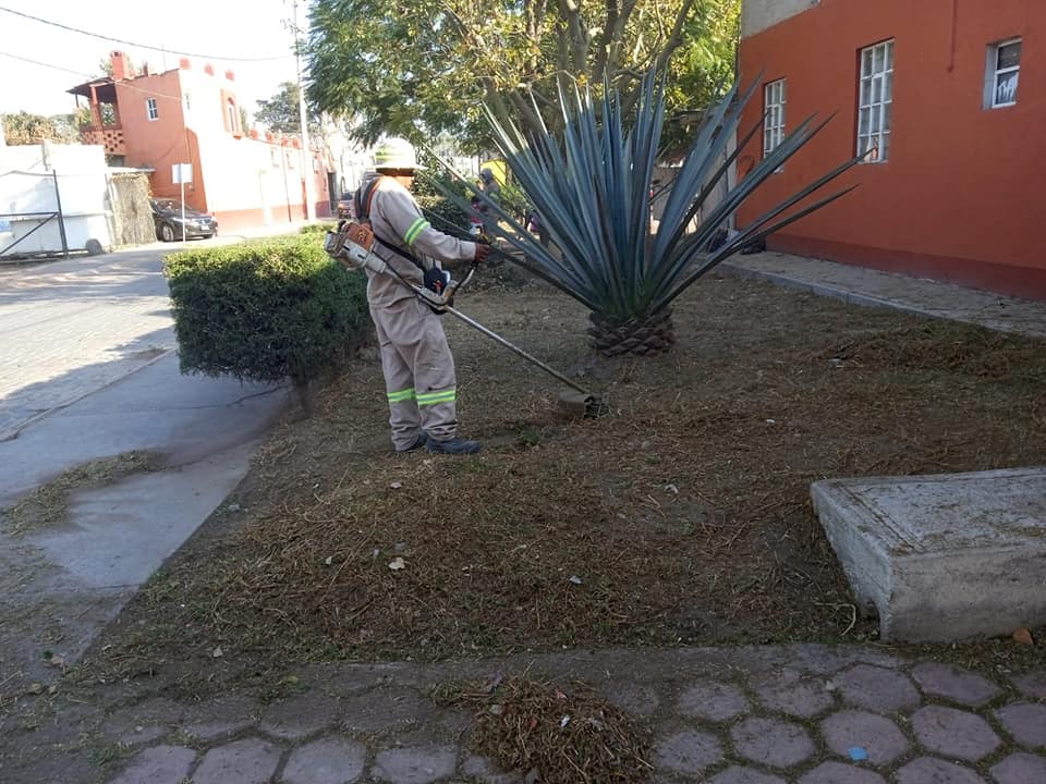 1672693715 789 Mantenimiento y limpieza en la Plaza Porfirio Diaz y Antigua