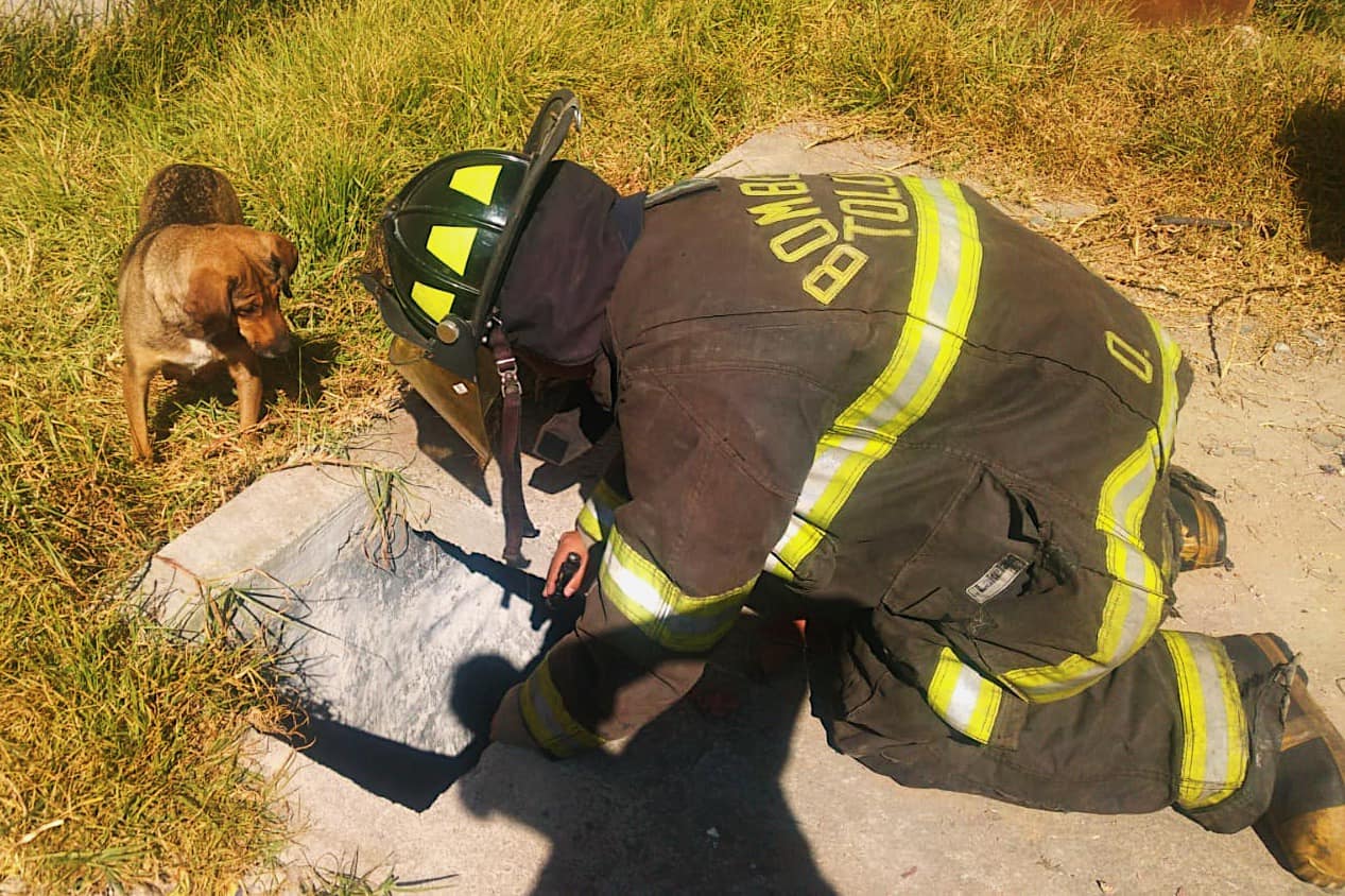 1672774916 RESCATE Derivado de un reporte ciudadano nuestro Heroico Cuerpo