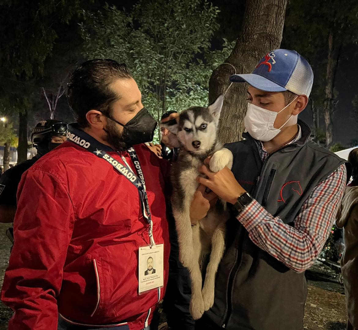 1673029264 162 Para inhibir la venta de animales en via publica la