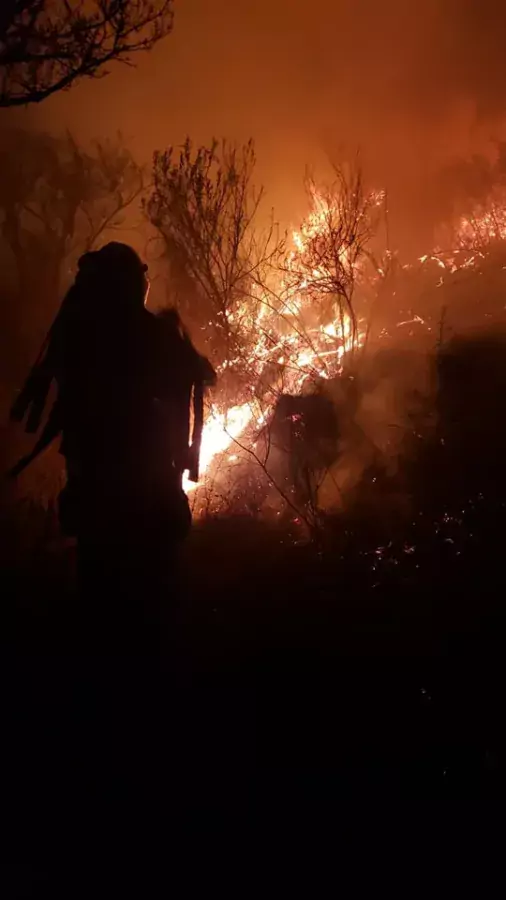 1673096701 Elementos del equipo de Bomberos de AtizapanDeZaragoza trabajan para sofocar jpg