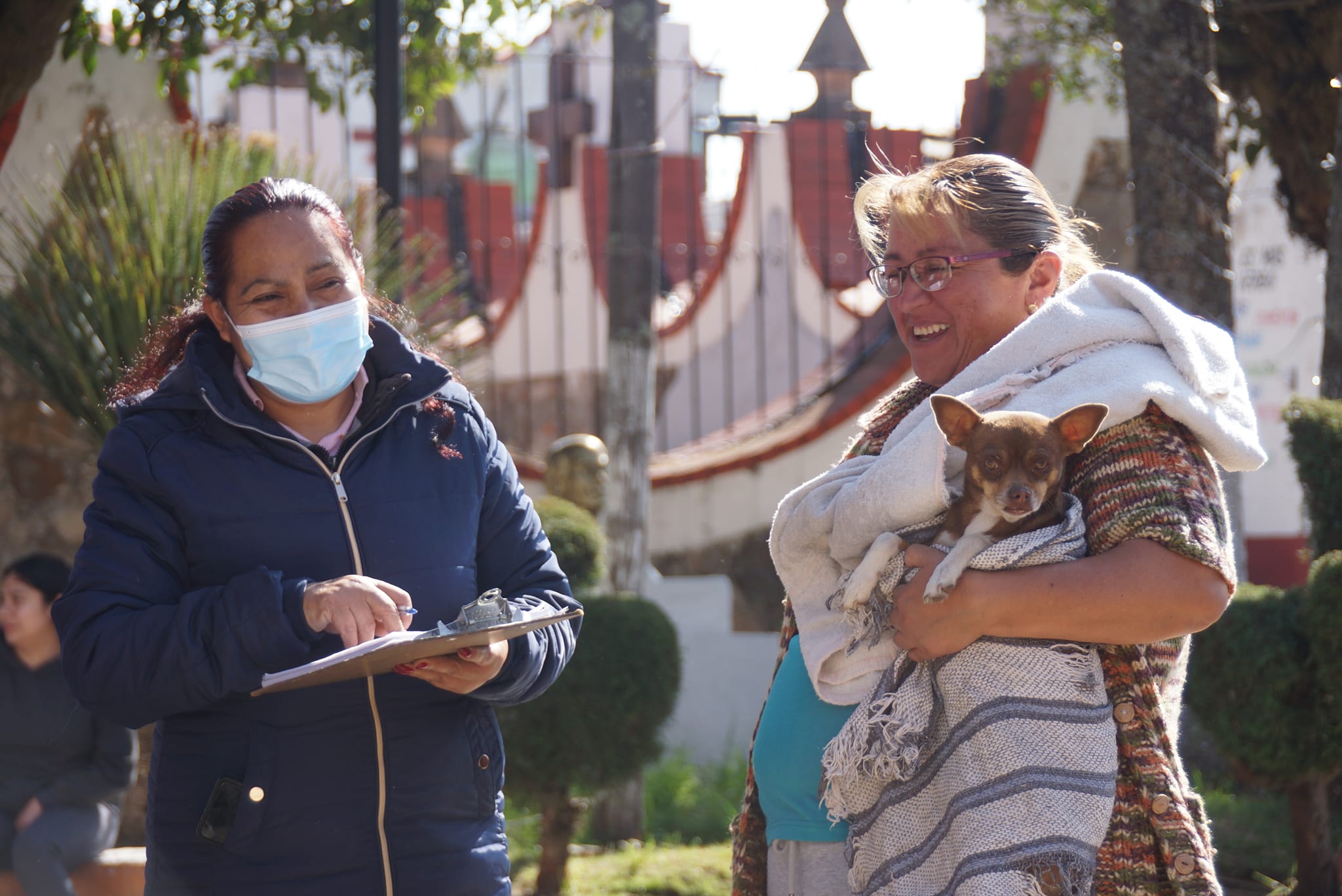 1673298203 985 La esterilizacion es un acto de amor hacia nuestras mascotas