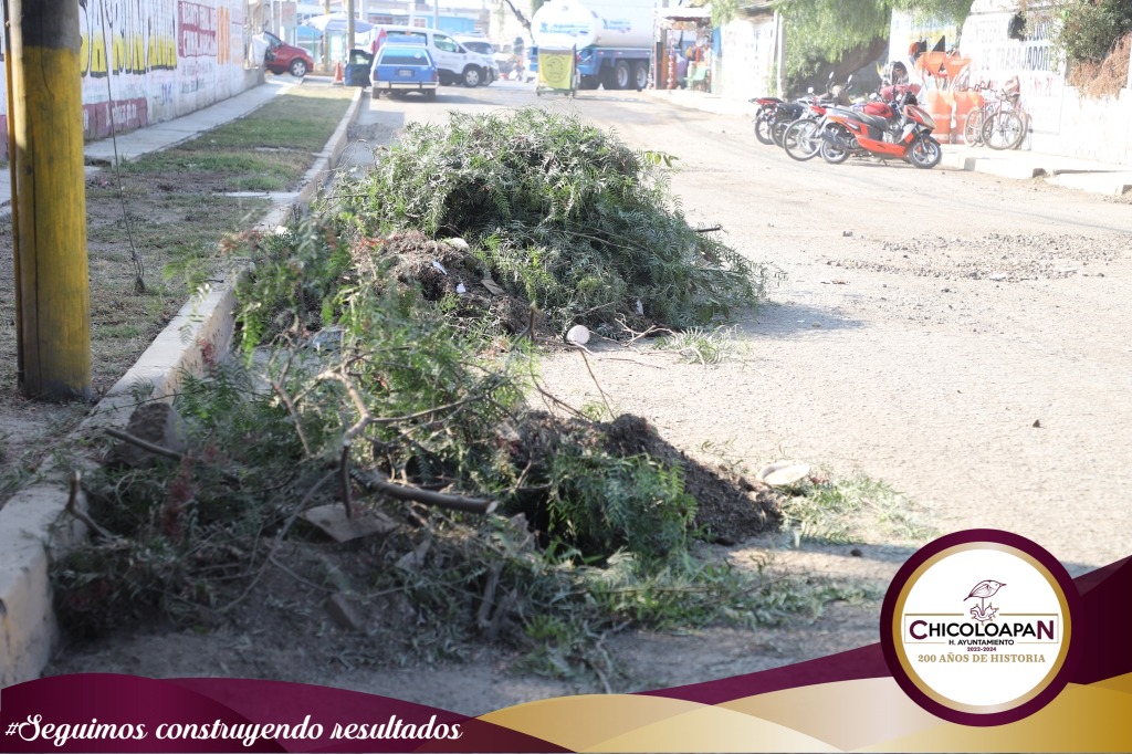 1673357966 398 La Coordinacion de Parques y Jardines se dedica dia con