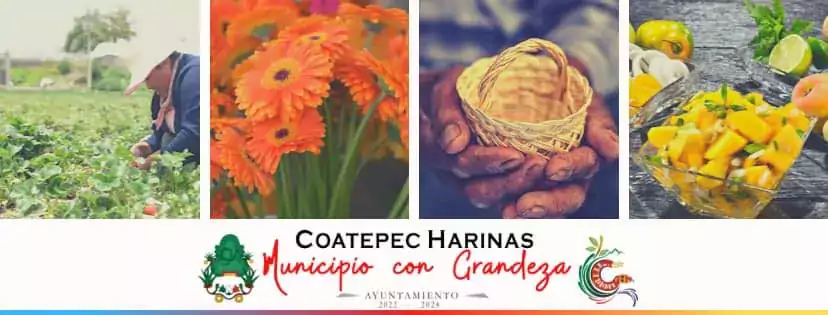 1673440020 Coatepec Harinas jpg