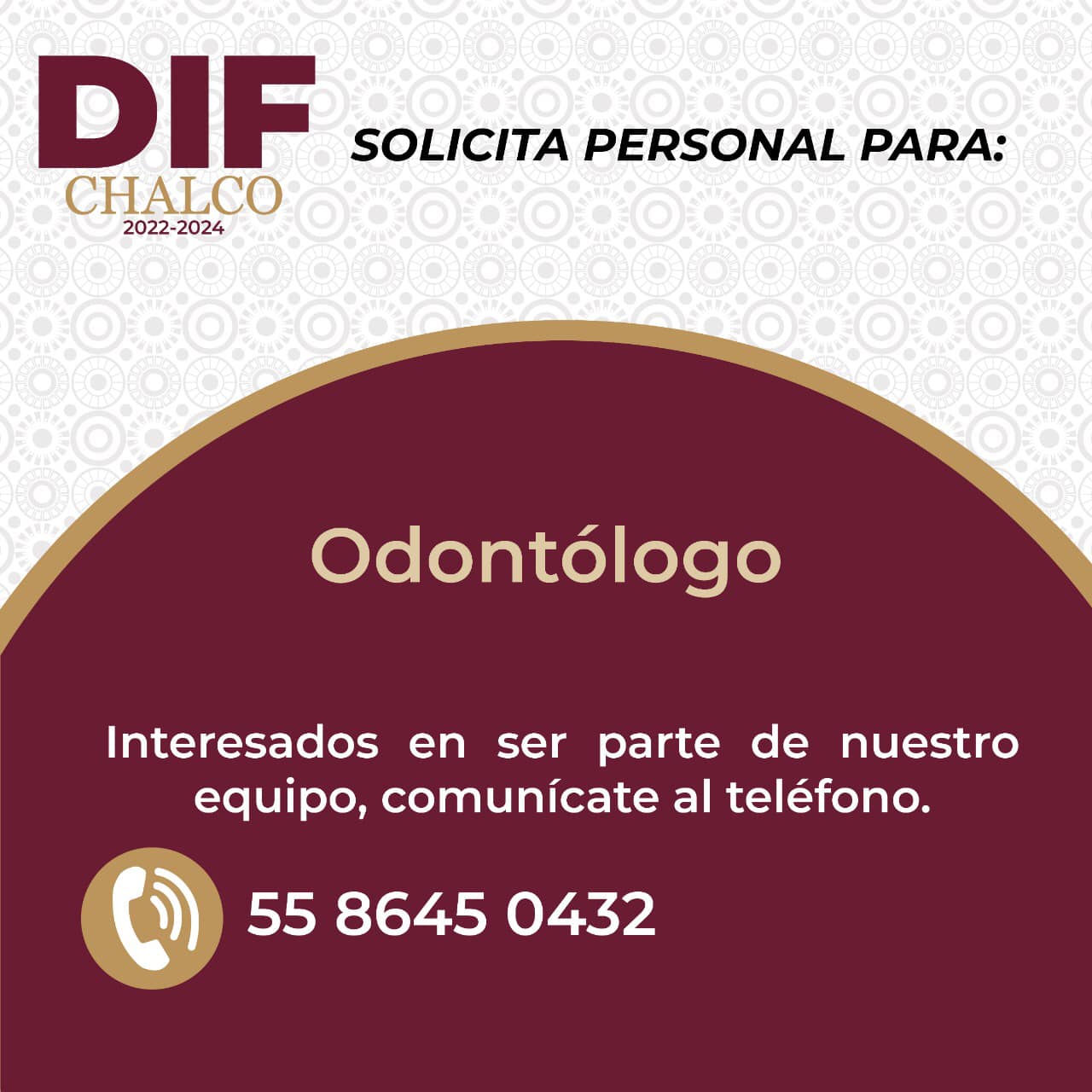 1673532759 486 ¿Te gustaria ser parte de nuestro equipo de DIFChalco