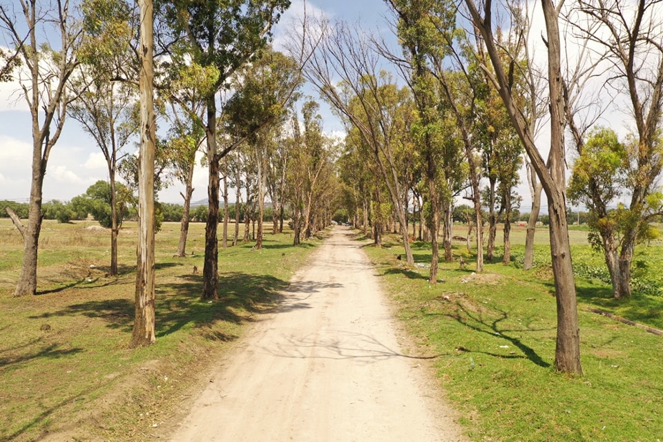 1673627394 261 Naturaleza en el pueblo de San Bartolo Cuautlalpan