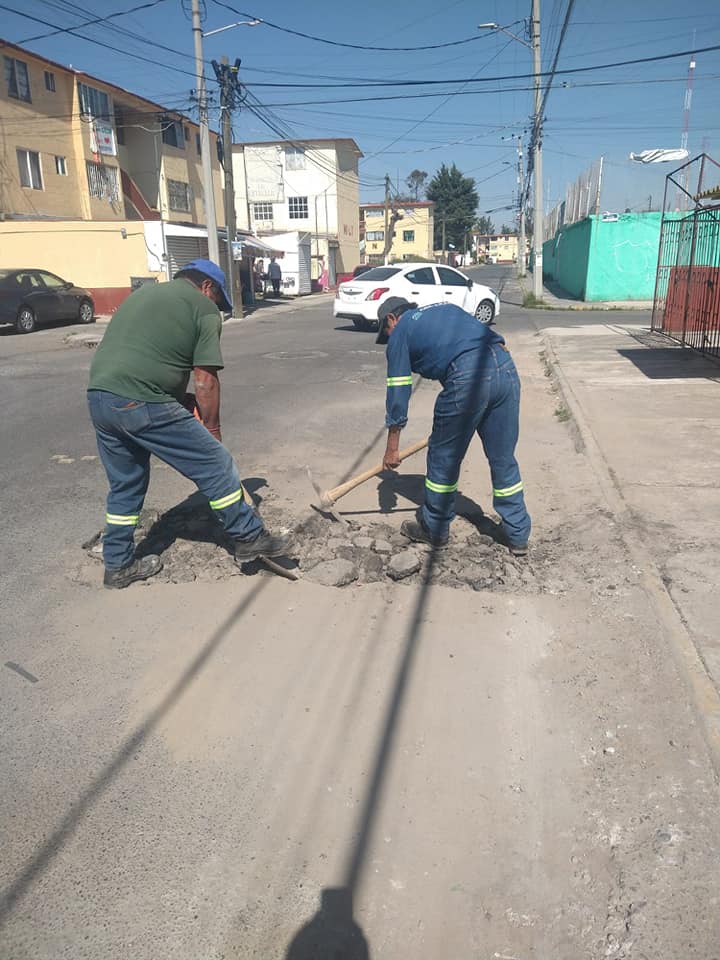 1673647711 20 Cambiar al mundo empieza por lo esencial cuidarlo y preservar