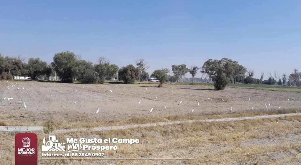 1673728446 500 Vecino agricultor recuerda que en apoyo y fomento a tu