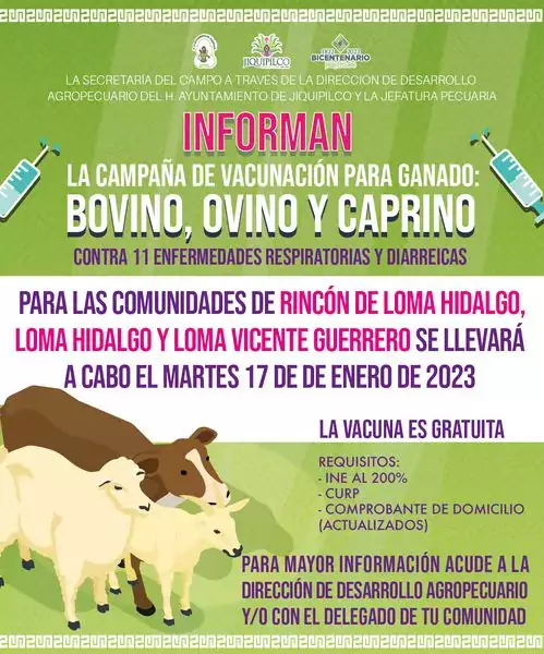 1673894320 La campana de vacunacion para ganado bovino ovino y caprino jpg