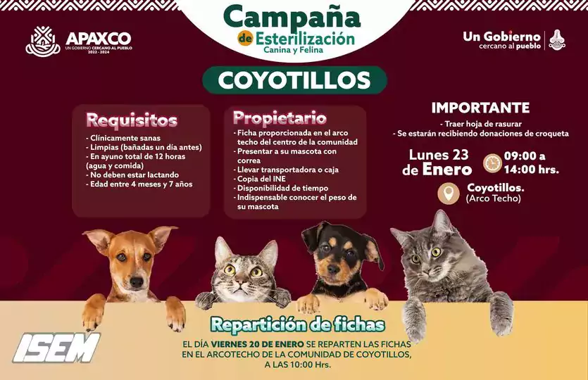 1674043304 EN COYOTILLOS ESTERILIZACION CANINA Y FELINA jpg